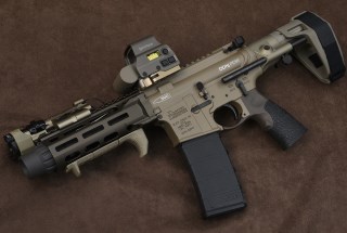 ESD DDM4 PDW