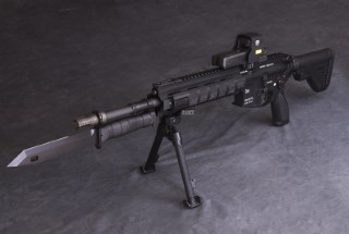 HAO HK416 F-S X SG2000